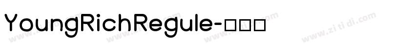 YoungRichRegule字体转换