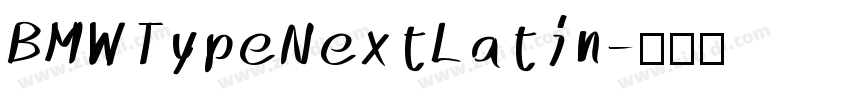 BMWTypeNextLatin字体转换