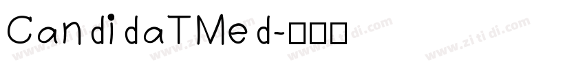 CandidaTMed字体转换
