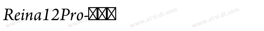 Reina12Pro字体转换