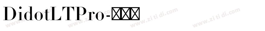 DidotLTPro字体转换