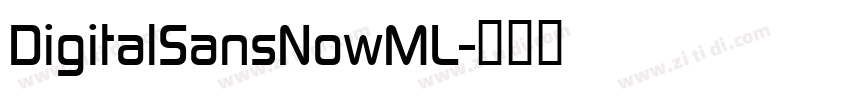DigitalSansNowML字体转换