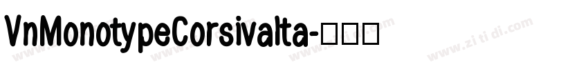 VnMonotypeCorsivaIta字体转换