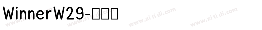 WinnerW29字体转换
