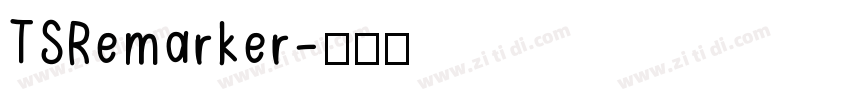 TSRemarker字体转换