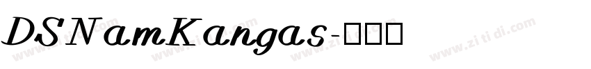 DSNamKangas字体转换