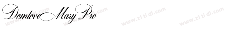 DomloveMaryPro字体转换