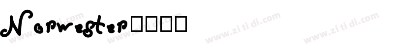 Norwester字体转换