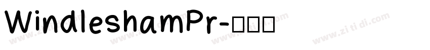 WindleshamPr字体转换