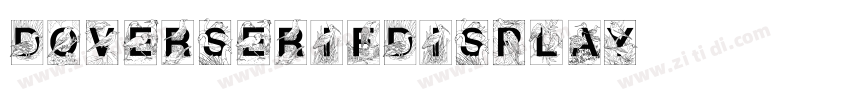 DoverSerifDisplay字体转换
