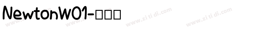 NewtonW01字体转换