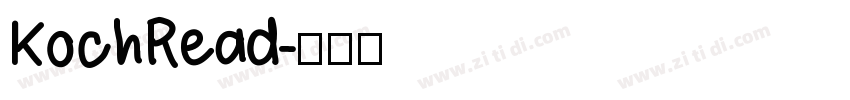 KochRead字体转换