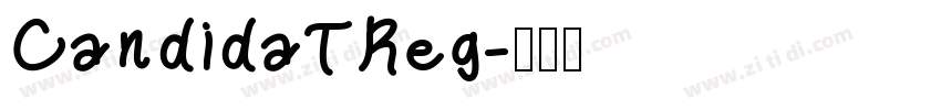 CandidaTReg字体转换
