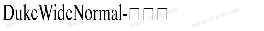 DukeWideNormal字体转换