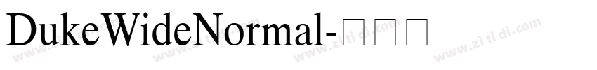 DukeWideNormal字体转换