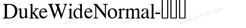DukeWideNormal字体转换