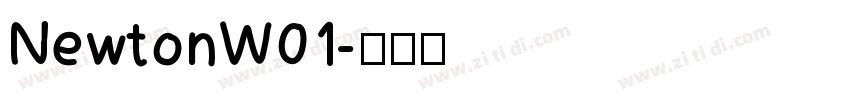 NewtonW01字体转换