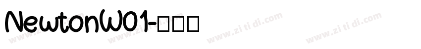 NewtonW01字体转换
