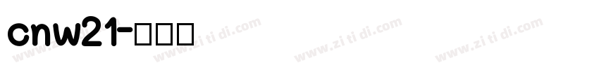 cnw21字体转换