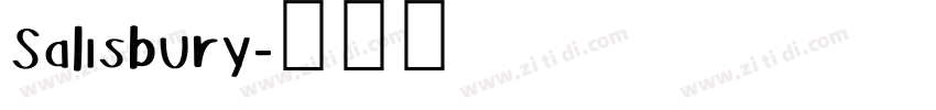 Salisbury字体转换