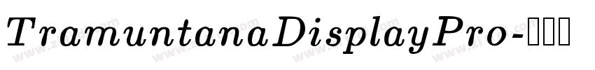 TramuntanaDisplayPro字体转换