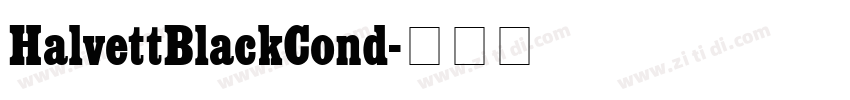 HalvettBlackCond字体转换