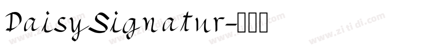 DaisySignatur字体转换