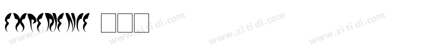 experience字体转换