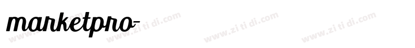 marketpro字体转换
