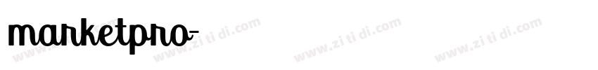 marketpro字体转换