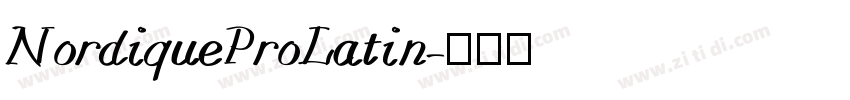 NordiqueProLatin字体转换