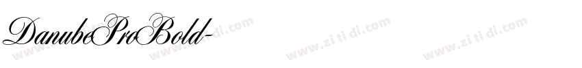 DanubeProBold字体转换