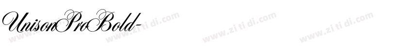 UnisonProBold字体转换