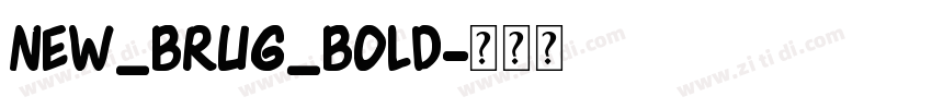NEW_BRUG_Bold字体转换