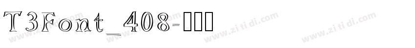 T3Font_408字体转换