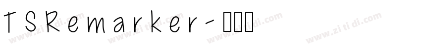 TSRemarker字体转换