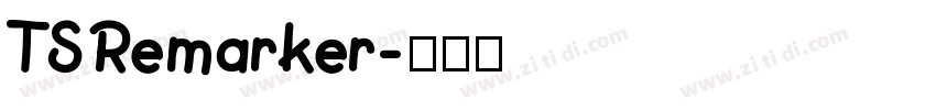 TSRemarker字体转换