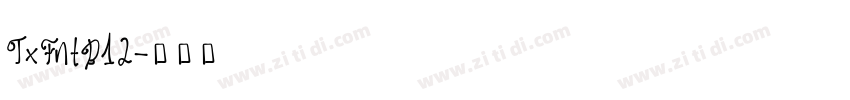 TxFntB12字体转换