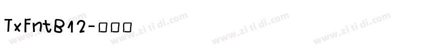 TxFntB12字体转换