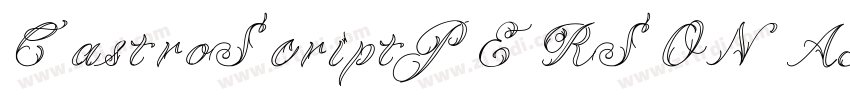 CastroScriptPERSONAL字体转换