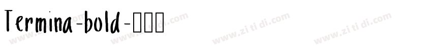 Termina-bold字体转换