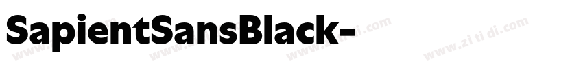 SapientSansBlack字体转换