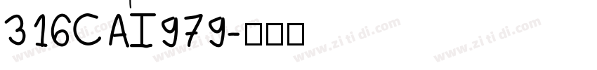 316CAI979字体转换