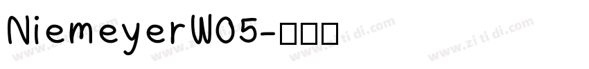 NiemeyerW05字体转换