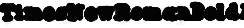TimesNewRomanBoldIt字体转换