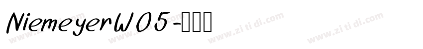 NiemeyerW05字体转换