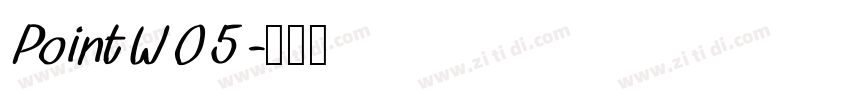 PointW05字体转换