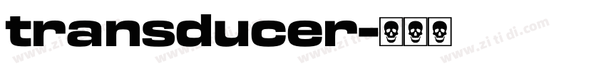 transducer字体转换