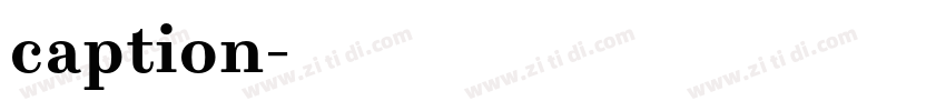 caption字体转换