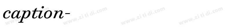 caption字体转换